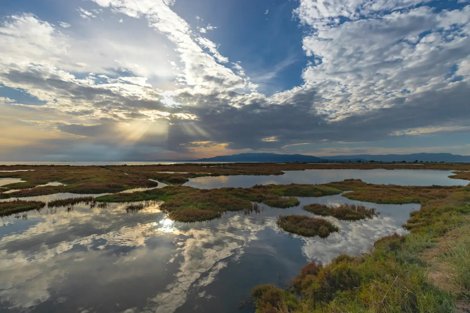 Paisaje de humedales y lagunas del Delta del Ebro bajo un cielo cubierto de nubes.