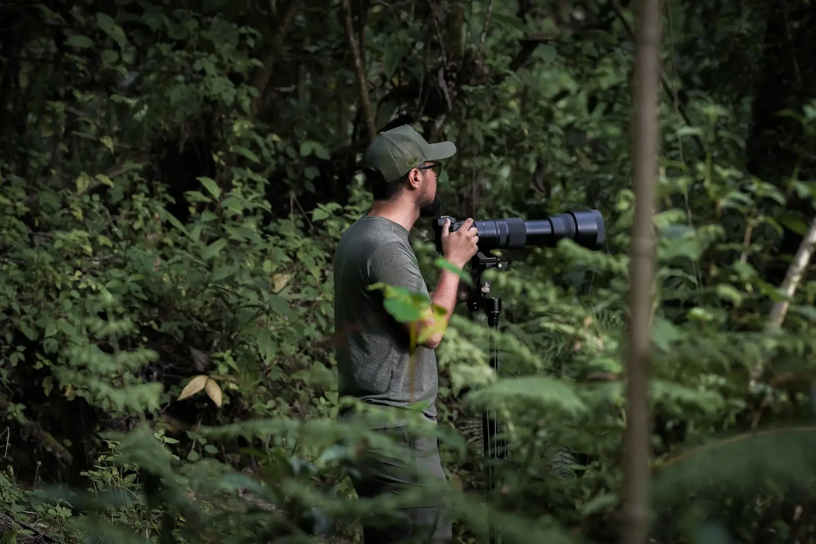 Un fotógrafo con un objetivo telefoto captura la naturaleza en un denso entorno forestal