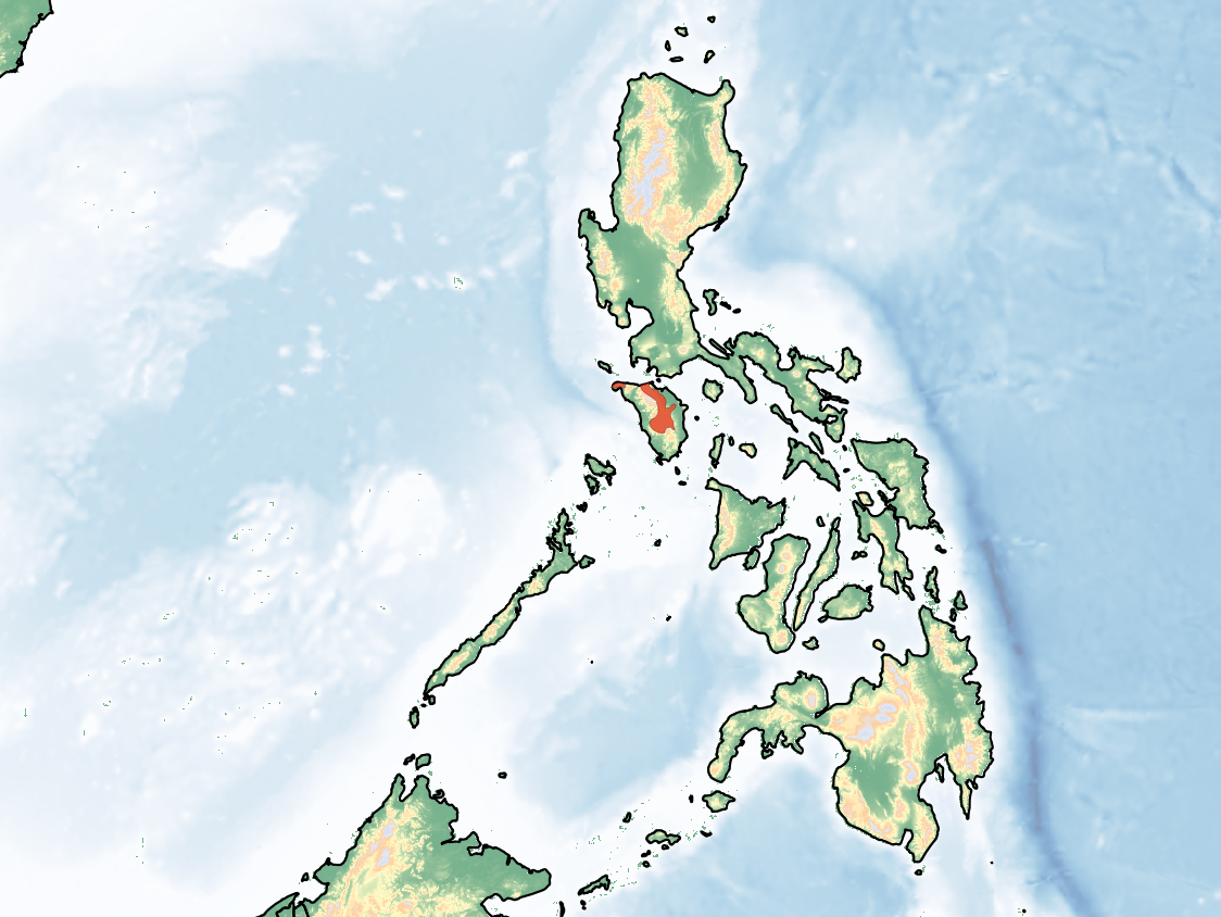 jabalí verrugoso de Mindoro