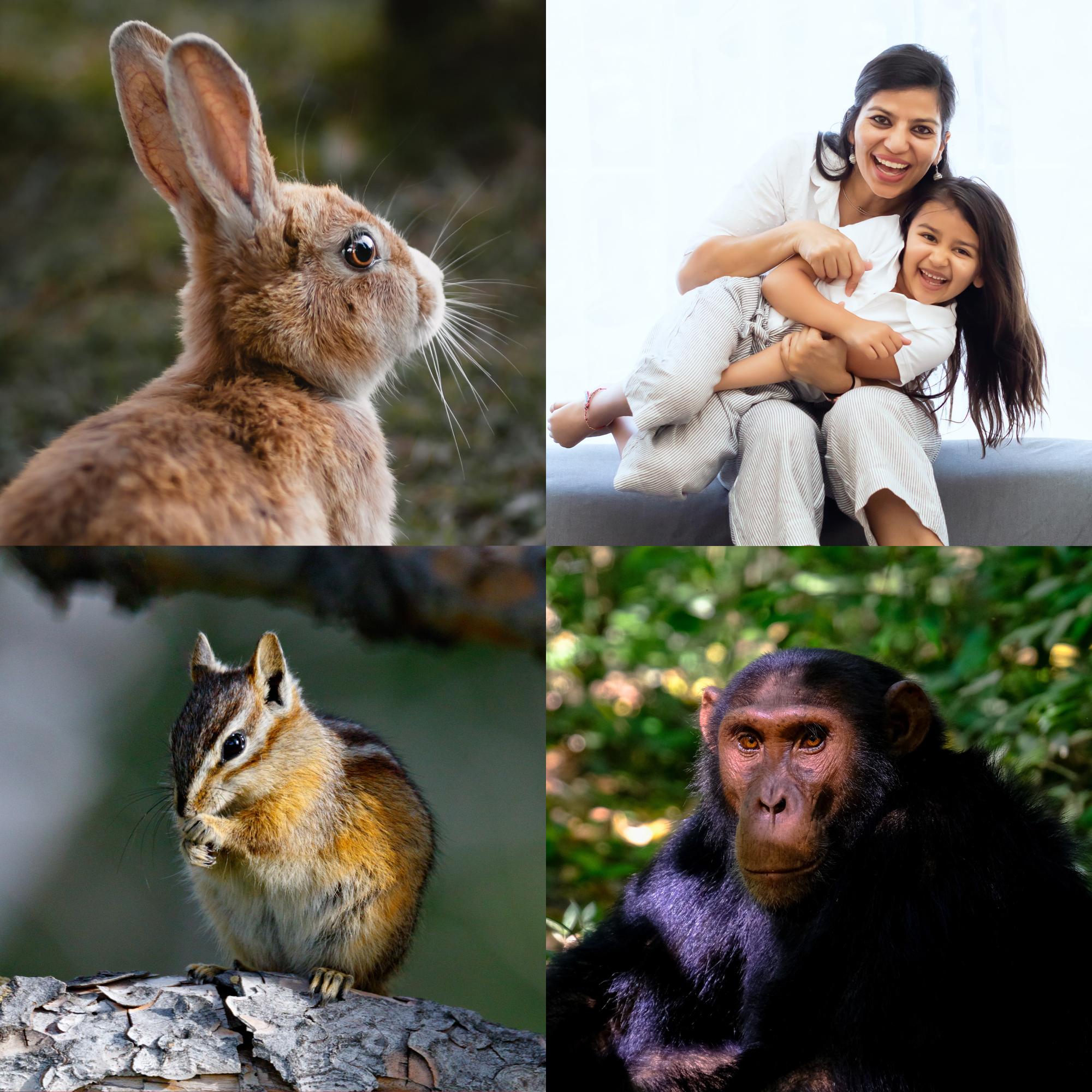 Monos, roedores y parientes
